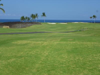 平均年齢７０歳。もう先が無い、最後に好きなハワイで思う存分ゴルフがしたい（死んでもいい覚悟で行ってきた）（ハワイ島編）&#10145;　あれ・？　前より元気になって帰ってきたぞ。