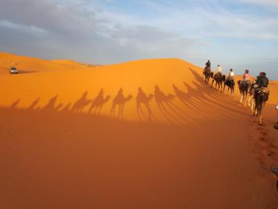 モロッコ　サハラ砂漠２泊３日ツアー３日目（帰りはフェズへ）