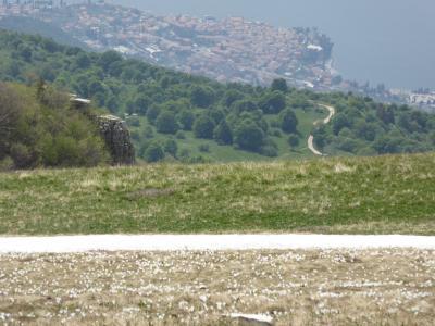 初夏の優雅な北イタリア旅行♪　Ｖｏｌ８６（第６日目午後）　☆マルチェジーネ（Malcesine)：バルド山（Monte Baldo）の美しい天国のお花畑♪