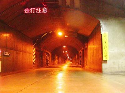 ハリネズミトンネル　オレンジ lrg_10897386.jpg?updated_at=