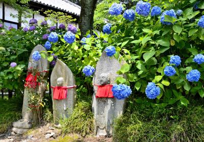 あをによし 奈良紫絵巻紀行①矢田寺＜前編＞