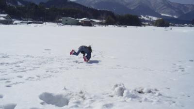 みーたん名残り雪を求めて蒜山高原へ行く! の巻き