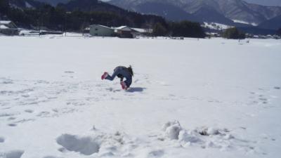 みーたん名残り雪を求めて蒜山高原へ行く！  の巻き