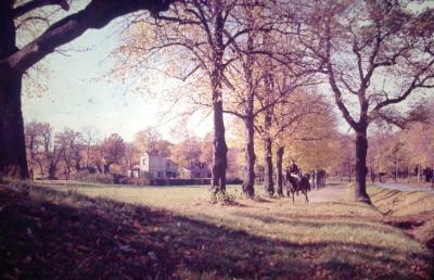 ストックホルム市内の公園にて・・・