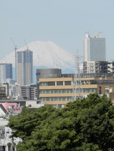 草加漂流