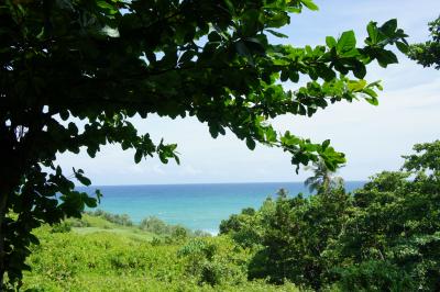 至福のアーユルヴェーダ☆9泊11日