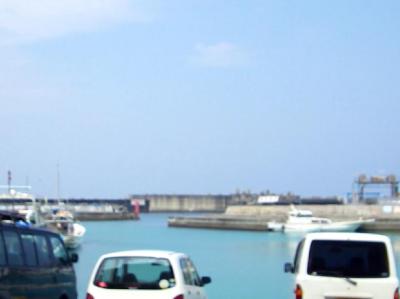 夏はやっぱり、ジンベイかなあ○o。.（沖縄県 中頭郡 読谷村）