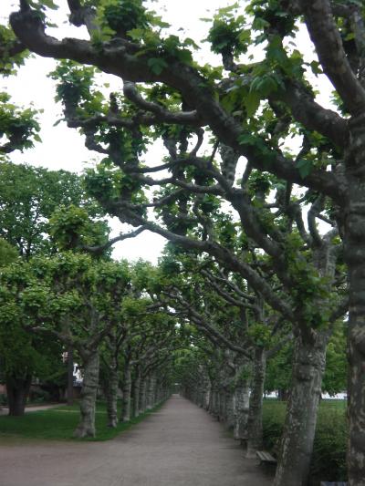 10泊12日 ドイツ&スイス 弾丸二人旅 ♪ ★9日目 チューリッヒ→フランクフルト★MEINFERNBUS.DE★