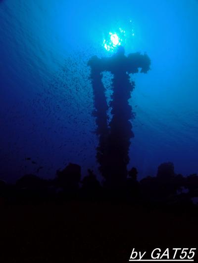 69年前の戦場へトラック諸島でDIVE!～徴庸船 山鬼山丸(SANKISANMARU)～