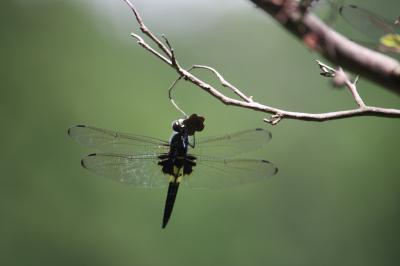 朝日山公園散策・震災3年経った亘理・鳥の海に行ってみた！