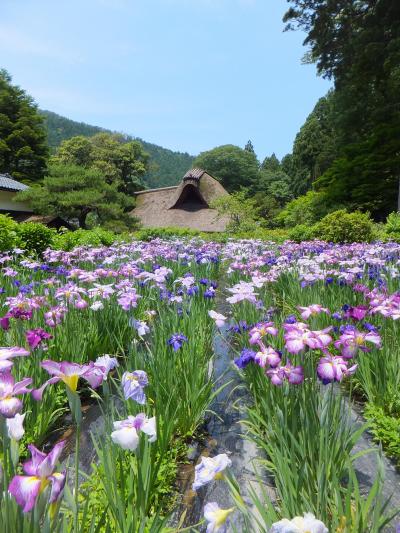 越前竹人形の里と千古の家に行って来ました。