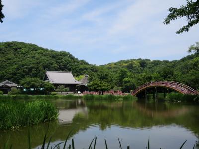 称名寺散策と八景島あじさい祭り