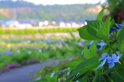 2014・06　初夏の福井県へ