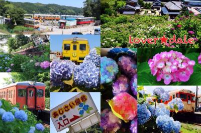 千葉県 あじさい屋敷といすみ鉄道~あじさい散策~