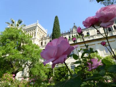 初夏の優雅な北イタリア旅行♪　Ｖｏｌ１３７（第９日目午前）　☆サロ（Salo)：「Isola di Garda」の夢のような美しい「バラの園」♪