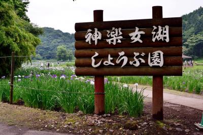 神楽女湖のハナショウブ