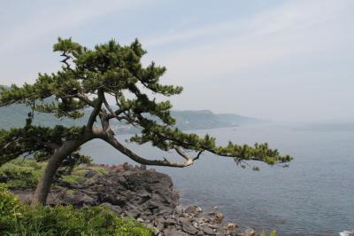 伊豆高原と城ヶ崎海岸