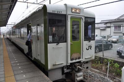 2014年6月関東鉄道旅行3（八高線）