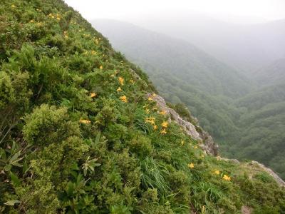 ニッコウキスゲ咲き乱れる、夜叉が池と三周ヶ岳登山記