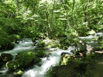 蔦温泉と奥入瀬渓谷