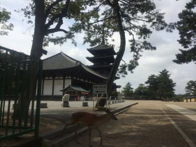 世界遺産：興福寺