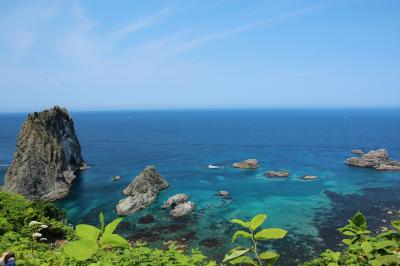 ウニとラベンダーの季節到来！北海道初夏の旅　①積丹ブルーとウニづくし
