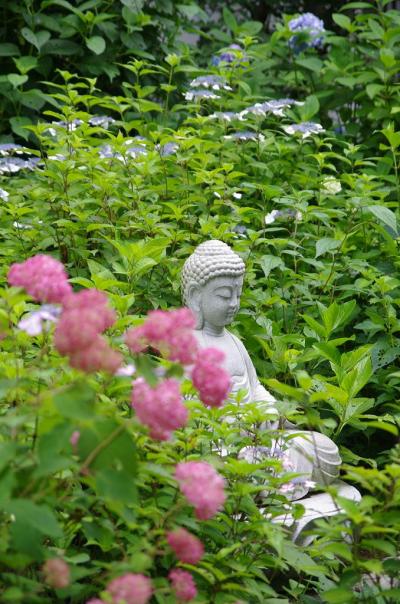 箱根のあじさい寺