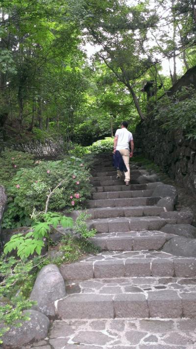 日光東照宮と界川治 