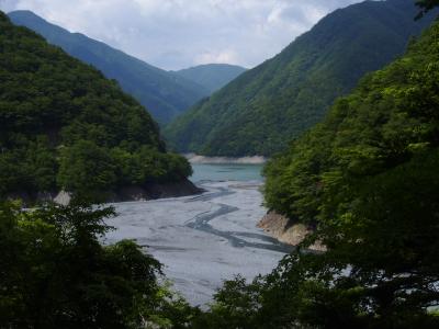 南アルプスへのプレリュード / 樹々の緑深まる東俣林道