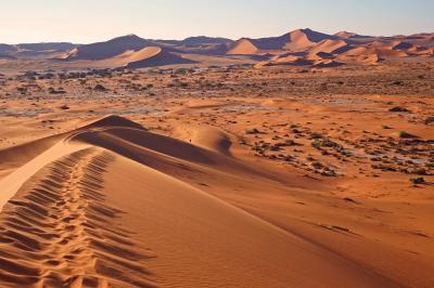 南部アフリカ５か国周遊--ナミビア・ナミブ砂漠