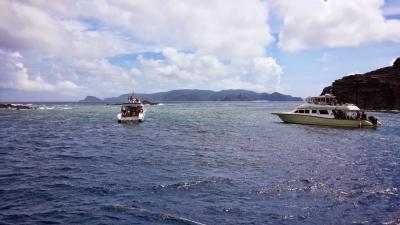 お天気に恵まれた！ 3度目の沖縄・・・その2  (臆病者の初シュノーケル、ダイビング)