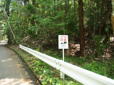 猿投山登山♪