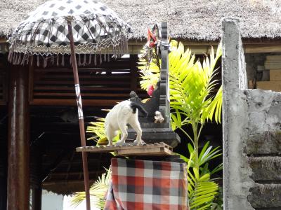 2012バリ島旅行（ヌサドゥアAYODYA滞在編）