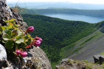 初夏道東　摩周岳～西別岳縦走は花盛り