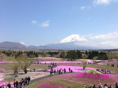 芝桜の季節の富士山・富士五湖！