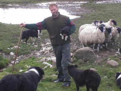 ロンドン、エジンバラ8泊9日の家族旅行。その3 アヴィモア編。蒸気機関車&牧羊犬と遊ぶ日帰りの旅