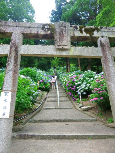 2014年6月 2泊3日梅雨紀行vol.1★晴れの国岡山～紫陽花が彩る吉備津神社