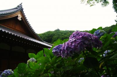 梅雨真っ只中、鎌倉日帰りの旅