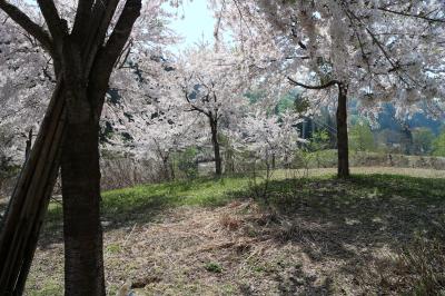 栄村の遅い春