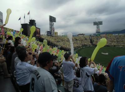 【敵地突撃】 甲子園 ビジター観戦