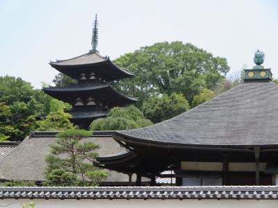 家族で行く船宿寺・當麻寺・石光寺☆曼荼羅で有名な中将姫の足跡をたどって♪