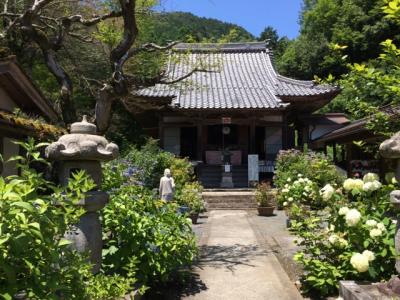 2014年7月　美濃路紫陽花廻り