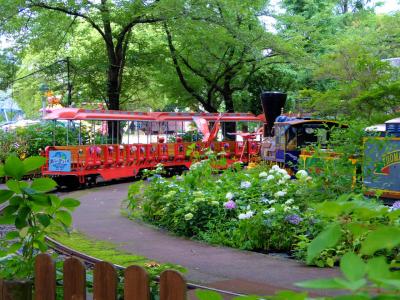 楽しい遊園地　豊島園のあじさい祭り　上