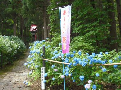 村木沢あじさい祭り