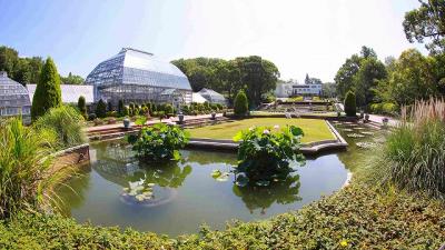 東山植物園・０６月下旬 