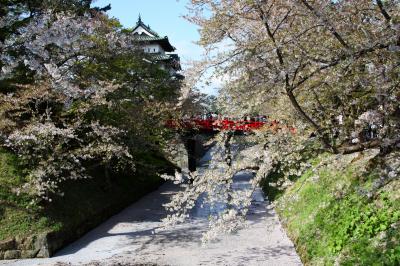 桜の名城弘前城へ。　北東北一周の旅。その1