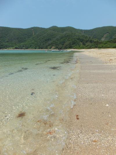 桜子の「生涯学習センター主催《平家伝説奄美大島4島めぐり旅》に参加してみました（１）」