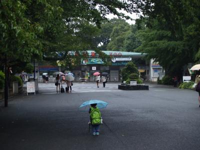 水彩画「雨の上野公園」
