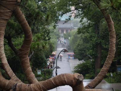 梅雨の上野寛永寺清水観音堂