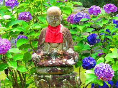 紫陽花寺をブラブラ